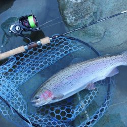 厳しいぞ ～天竜川ルアーフライ専用区～